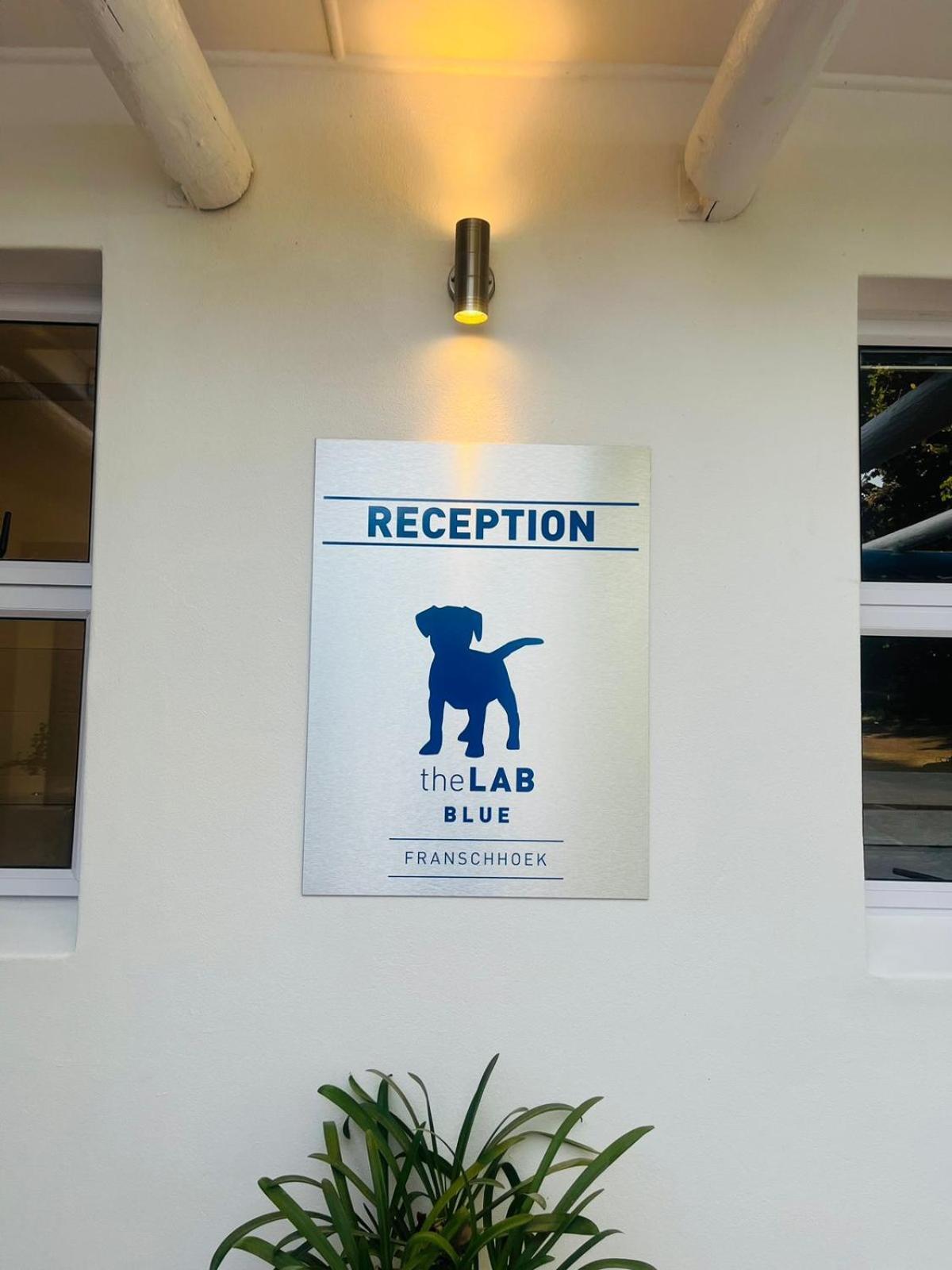 Hotel Thelab Blue Franschhoek Esterno foto